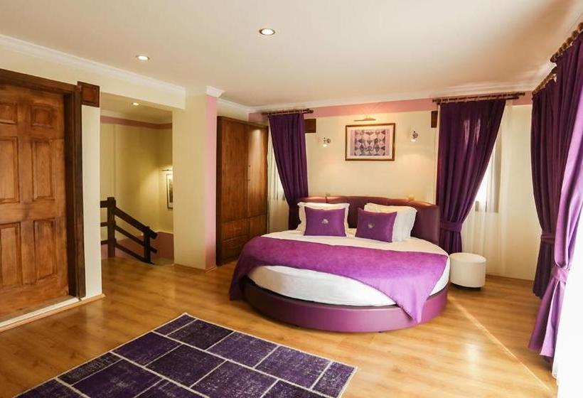 Отель Pi̇a Mya