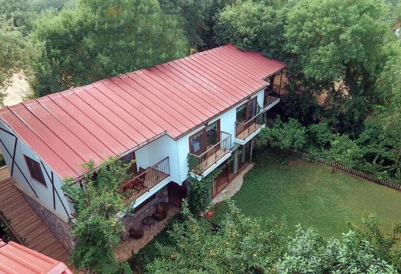 酒店 Pyramid Boutique