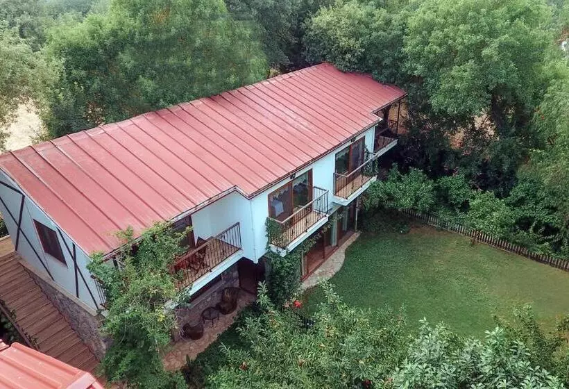 Hotelli Pyramid Boutique