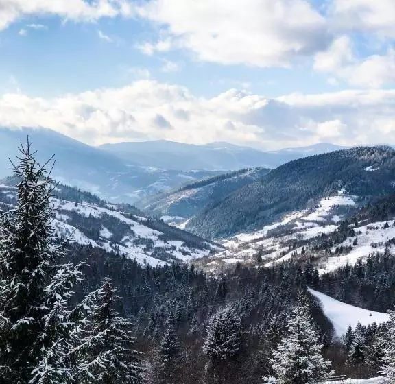 Hotelli синевирський перевал