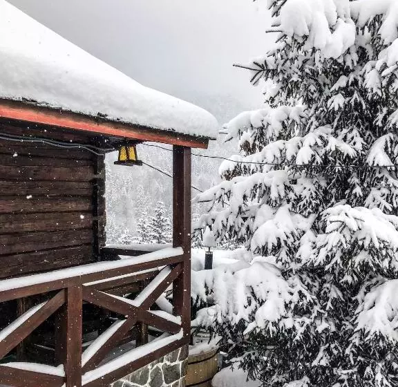 Hotelli синевирський перевал