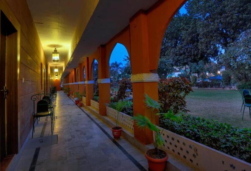 Hotel Treehouse Amaara A Boutique