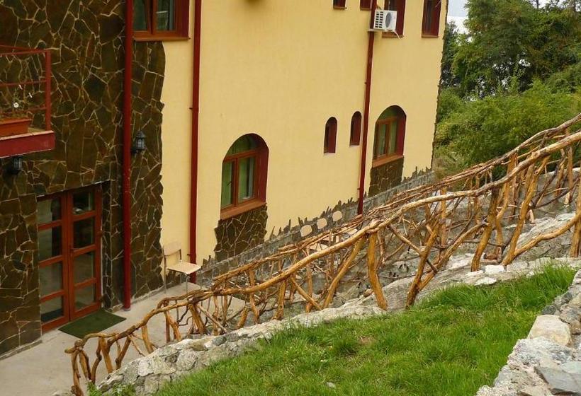 膳宿费 Cabana Delfinul