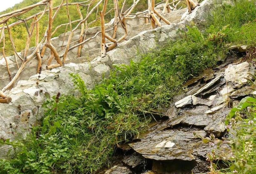 膳宿费 Cabana Delfinul