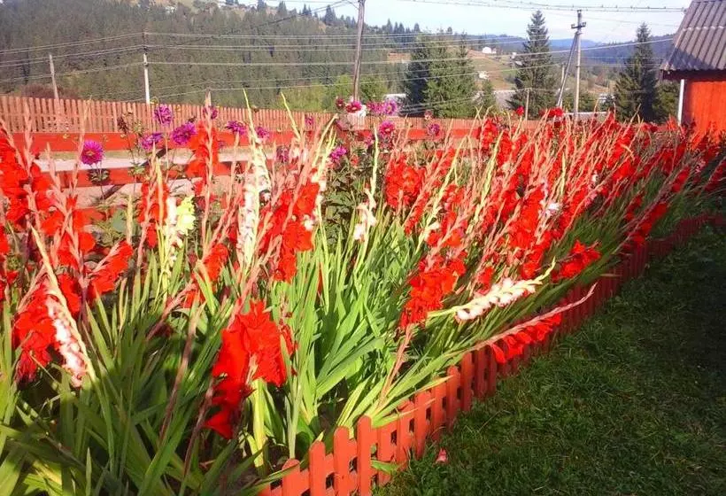 Majatalo Romashka Guest House