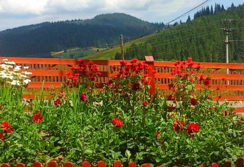 بنسيون Romashka Guest House