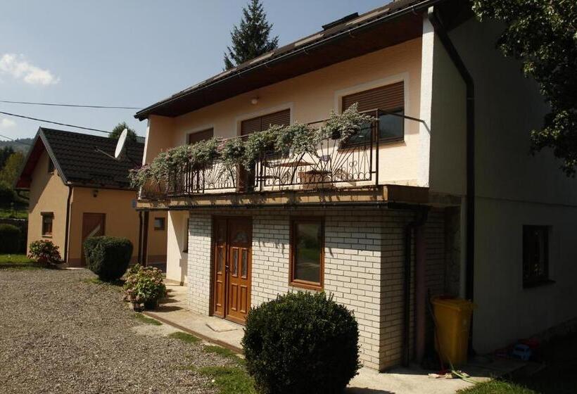 بنسيون House Drakulić