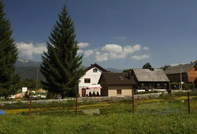 ペンション House Drakulić