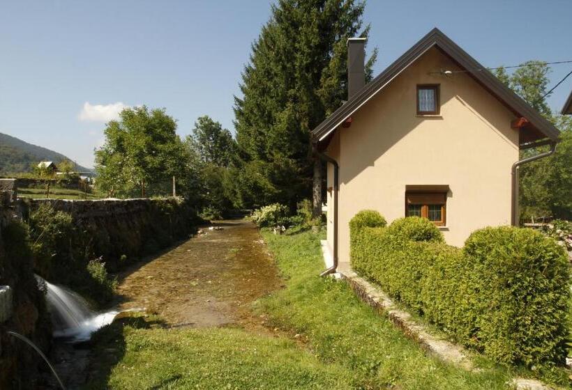 بنسيون House Drakulić