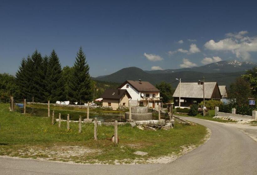 بنسيون House Drakulić