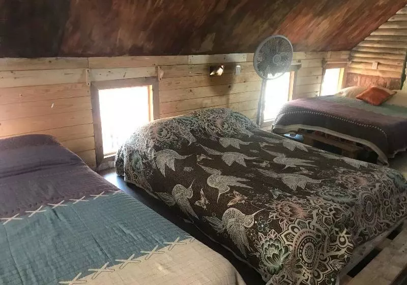 ホテル Cabanas La Roca By Oyo Rooms