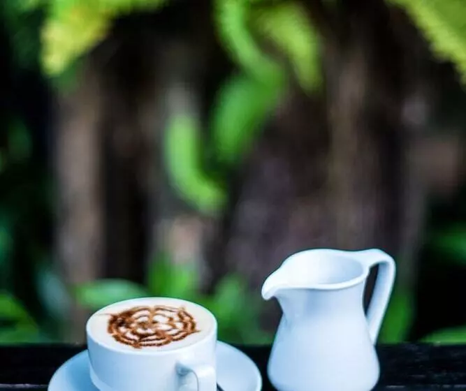 Отель Lin Ratanak Angkor