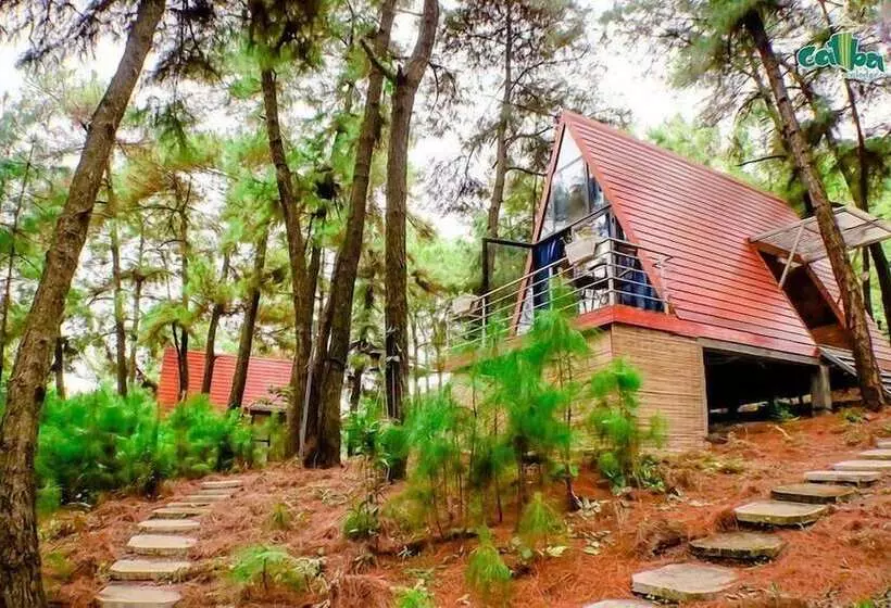 هتل Cat Ba Eco Lodge Resort