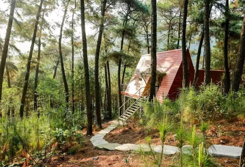 هتل Cat Ba Eco Lodge Resort