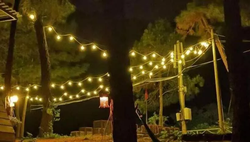 هتل Cat Ba Eco Lodge Resort