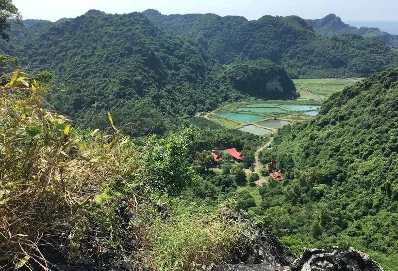 هتل Cat Ba Eco Lodge Resort
