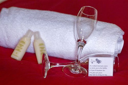 호텔 Base Bay Of Islands  Hostel