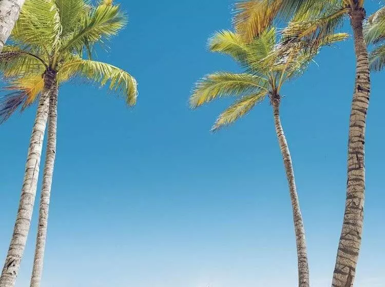 Отель Barcelo Bavaro Palace All Inclusive