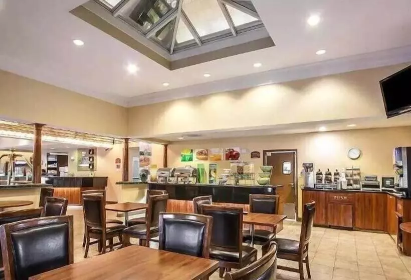 酒店 La Quinta Inn & Suites By Wyndham Memphis I 240