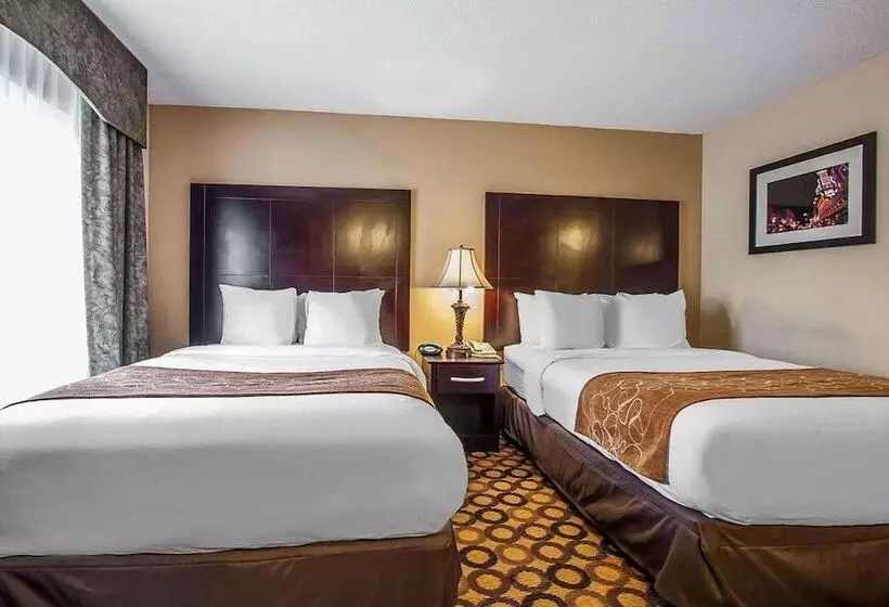 酒店 La Quinta Inn & Suites By Wyndham Memphis I 240