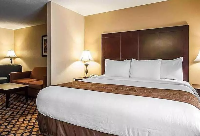 酒店 La Quinta Inn & Suites By Wyndham Memphis I 240