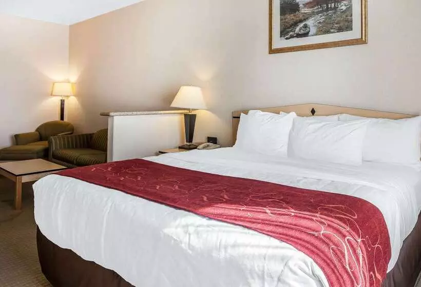 호텔 Comfort Inn & Suites Airport Convention Center