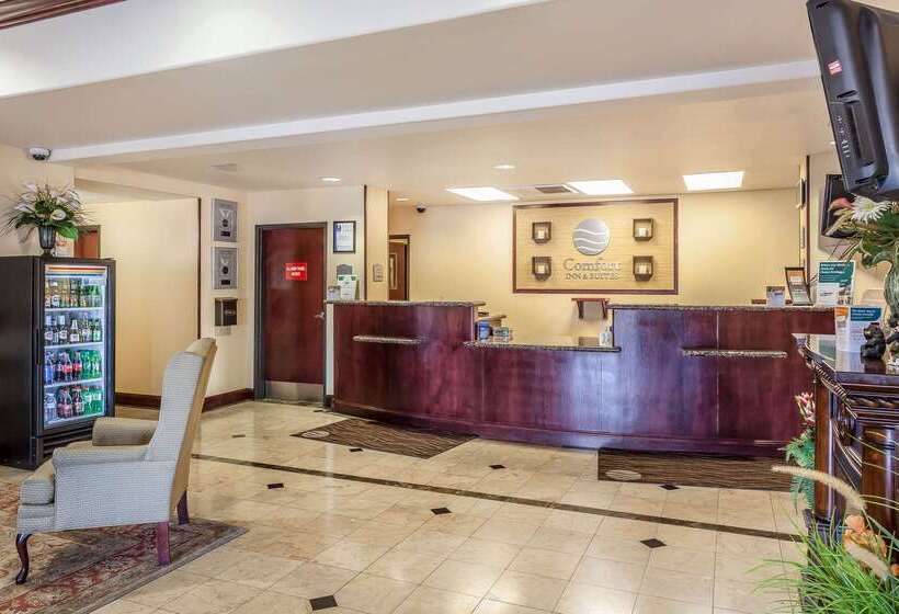 فندق Comfort Inn & Suites Airport Convention Center