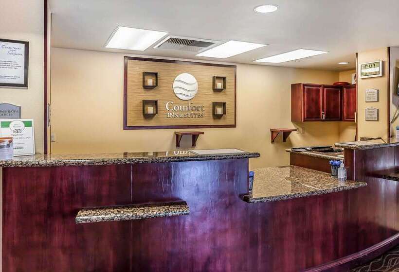 فندق Comfort Inn & Suites Airport Convention Center