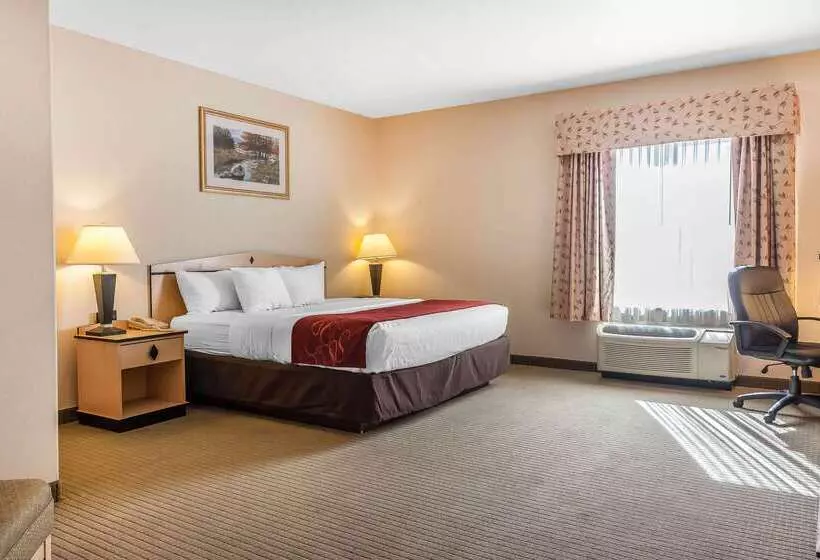 호텔 Comfort Inn & Suites Airport Convention Center