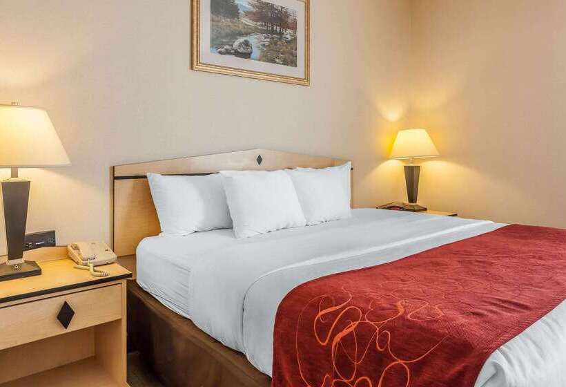 فندق Comfort Inn & Suites Airport Convention Center