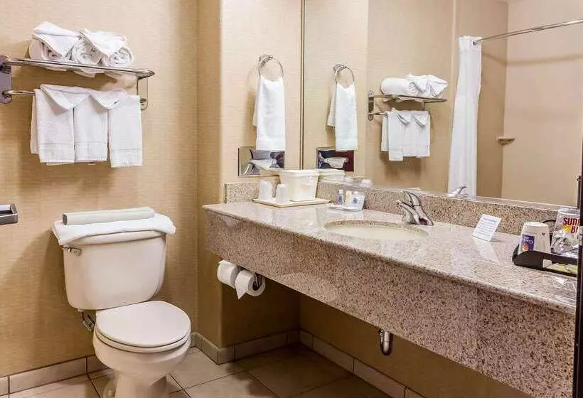 호텔 Comfort Inn & Suites Airport Convention Center