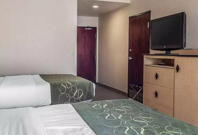 호텔 Comfort Inn & Suites Airport Convention Center