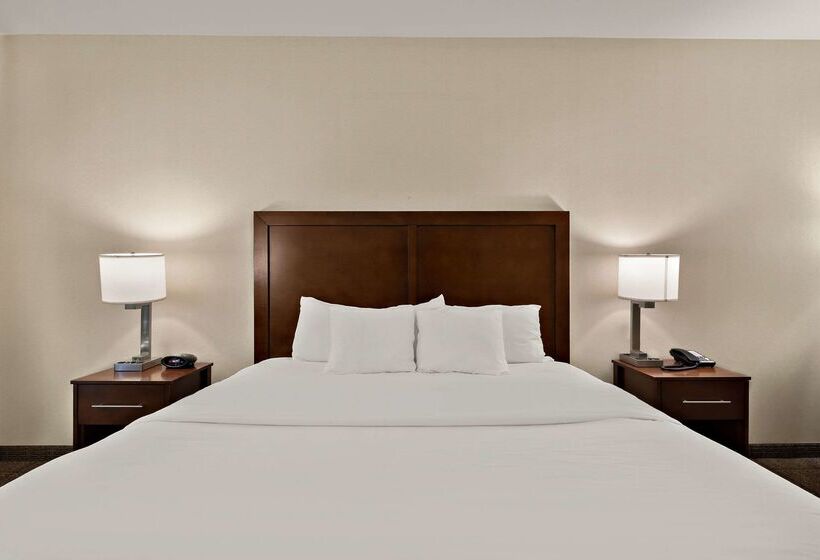 فندق Comfort Inn & Suites Airport Convention Center