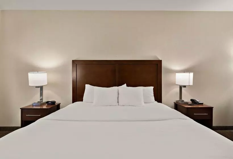 호텔 Comfort Inn & Suites Airport Convention Center