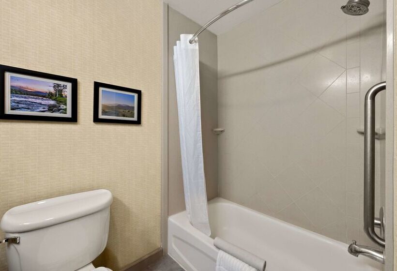 فندق Comfort Inn & Suites Airport Convention Center