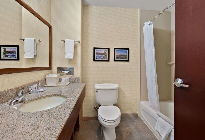 فندق Comfort Inn & Suites Airport Convention Center