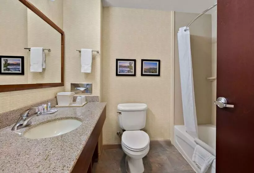 호텔 Comfort Inn & Suites Airport Convention Center