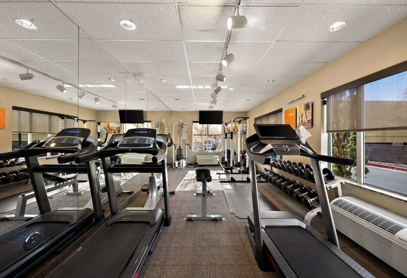 فندق Comfort Inn & Suites Airport Convention Center