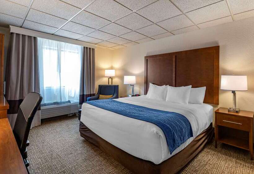 酒店 Comfort Inn & Suites Gateway To Glacier National Park