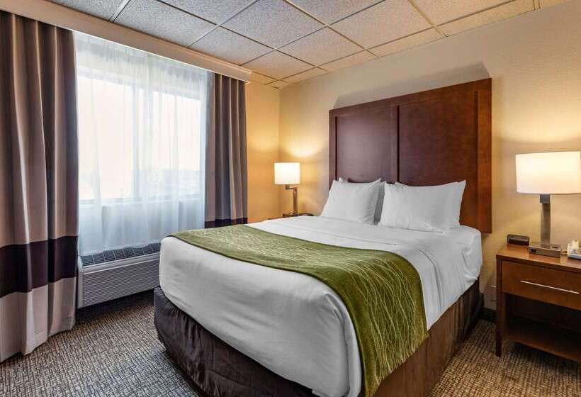 酒店 Comfort Inn & Suites Gateway To Glacier National Park