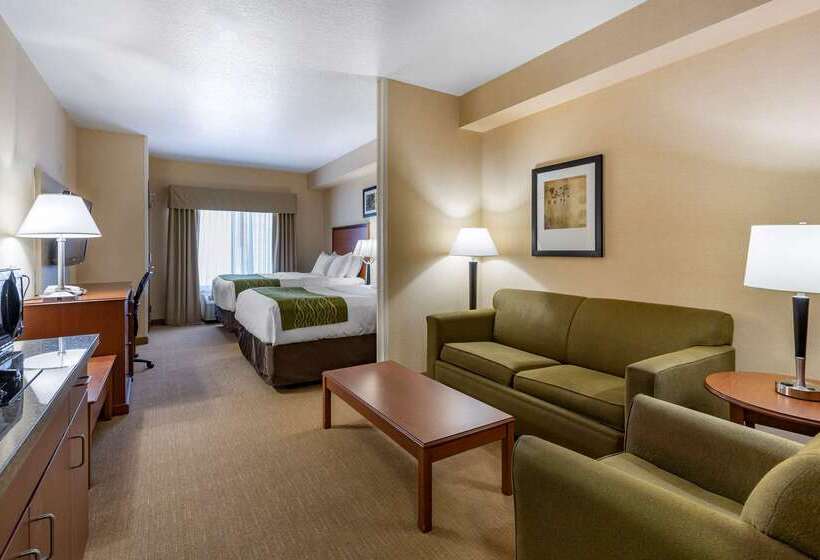 酒店 Comfort Inn & Suites Gateway To Glacier National Park