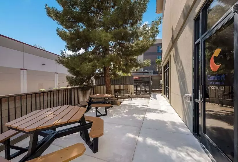Hotelli Comfort Inn & Suites Las Vegas  Nellis