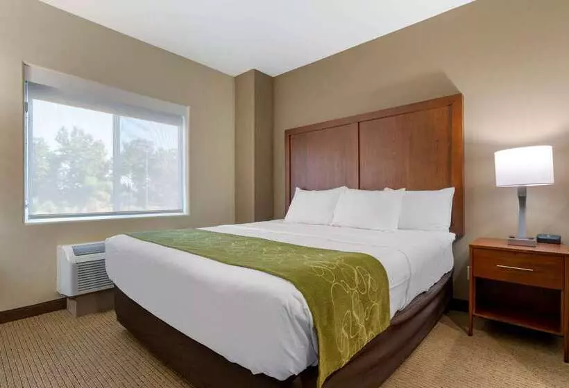 호텔 Comfort Suites Marysville Yuba City