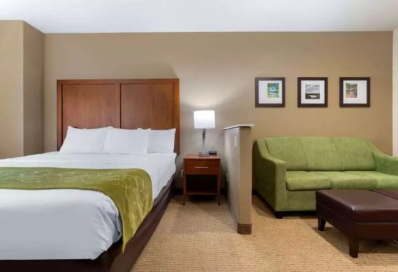 호텔 Comfort Suites Marysville Yuba City