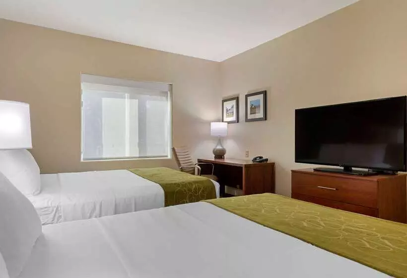 호텔 Comfort Suites Marysville Yuba City