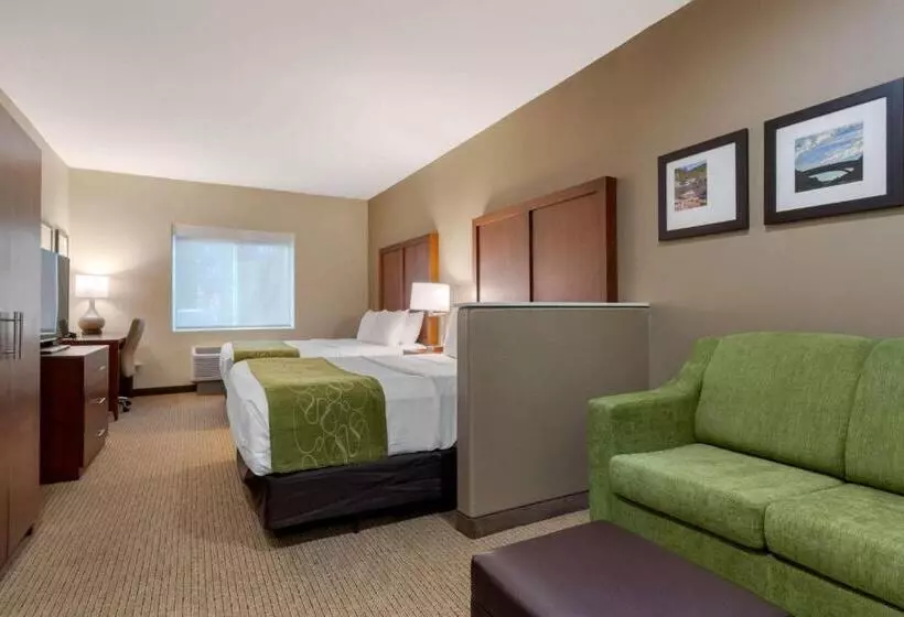 호텔 Comfort Suites Marysville Yuba City