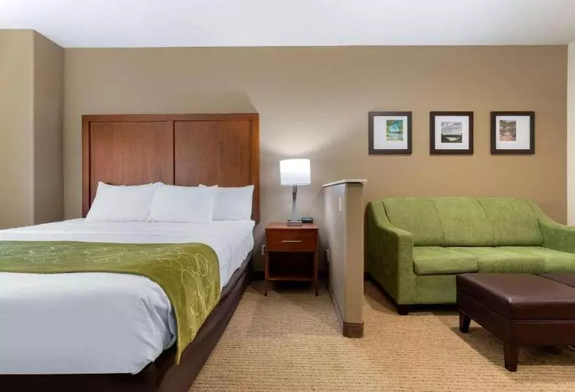 호텔 Comfort Suites Marysville Yuba City