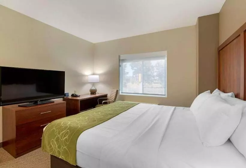 호텔 Comfort Suites Marysville Yuba City