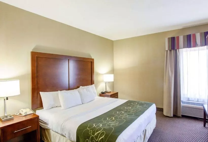 호텔 Comfort Suites