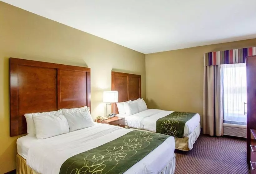 호텔 Comfort Suites